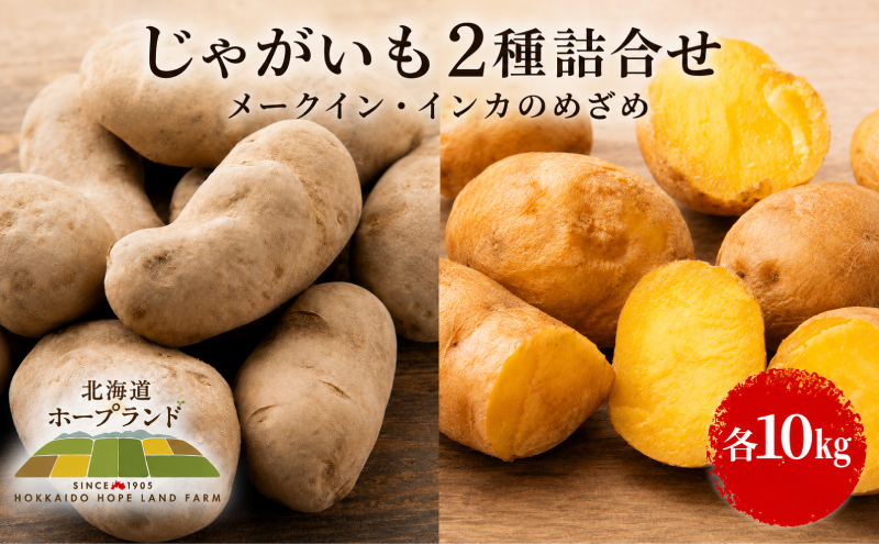 【先行予約】じゃがいも2種詰合せ（メークイン10kg・インカ