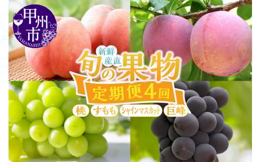 【定期便】新鮮産直甲州市！旬の果物4品定期便【2026年発送】（KSF）E-106 【桃 もも すもも シャインマスカット 巨峰 ぶどう 葡萄 フルーツ 果物 山梨 甲州市 期間限定】