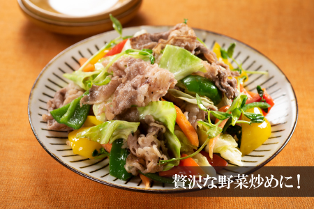 AB392.博多和牛切り落とし（約６００グラム）