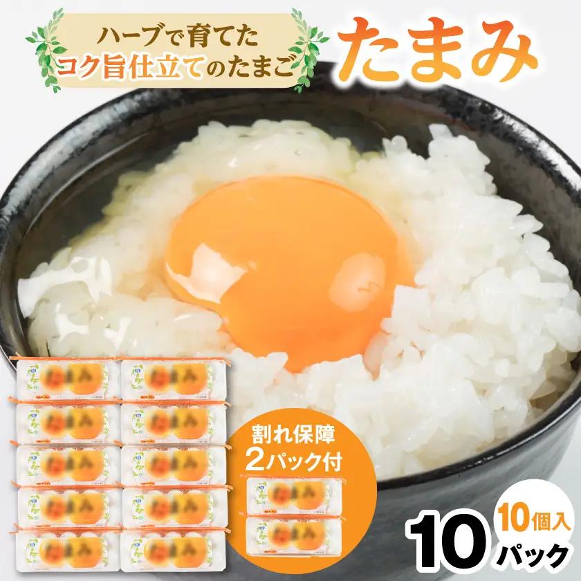 いすみポートリー「たまみ」コク旨仕立て10個入×10パック+割れ保障10個×2パック付【配送不可地域：離島】【1729055】