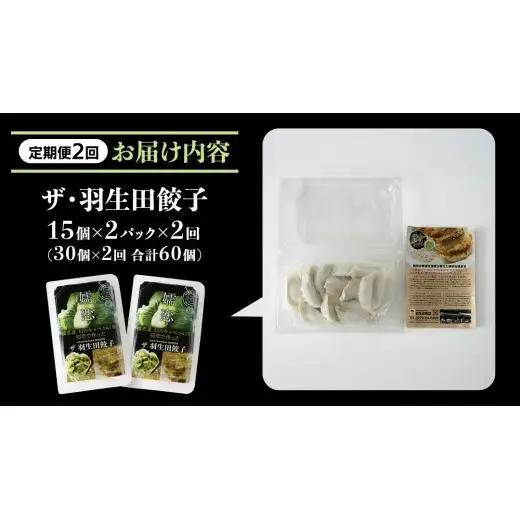 【 定期便 隔月2回 】 まぼろしのキャベツ419使用 ザ・羽生田餃子 15個 × 2パック 計30個 × 2回 ( 合計 60個 ) [AL017tu]