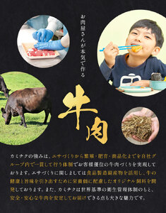黒毛和牛メンチカツ 15個 5個×3パック 株式会社カミチク《90日以内に出荷予定(土日祝除く)》鹿児島県 さつま町 鹿児島県産 黒毛和牛 惣菜 おかず 小分け 解凍不要 メンチカツ