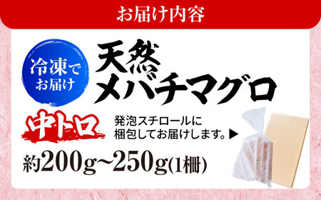 天然 まぐろ 中トロ メバチ（約200～250g（1柵入り））【横須賀商工会議所 おもてなしギフト事務局（本まぐろ直売所 横須賀本店）】[AKAK119]
