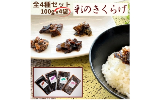 彩のきくらげ　めんたい味、梅しそ味、佃煮味、ペペロンチーノ味　4種類セット(100g×4パック)【1717466】