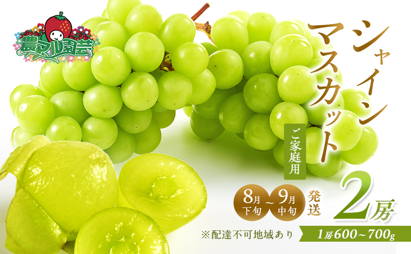 ぶどう 2025年 先行予約 ご家庭用 シャイン マスカット 2房 1房600g～700g 8月下旬～9月中旬発送分 ブドウ 葡萄 フルーツ 果物 岡山 赤磐市産 農マル園芸 あかいわ農園