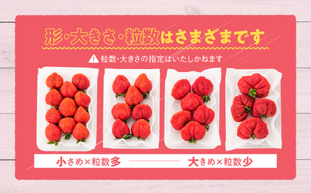 人気１位獲得謝礼品★限定品★博多あまおう約５４０g（先行受付／２０２７年２月以降発送）.ZH205【あまおう】