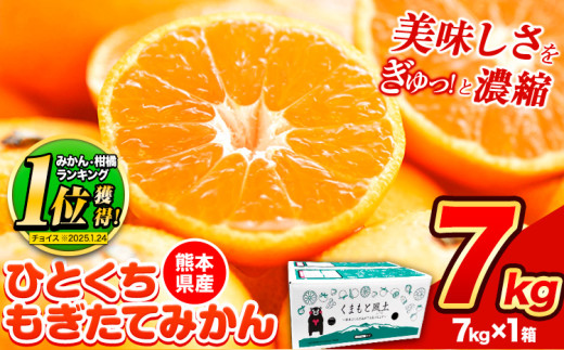 訳あり みかん ひとくちもぎたてみかん 約 7kg (7kg×1箱) S-3Sサイズ 訳あり ご家庭用 熊本県産 （荒尾市産含む） 期間限定 フルーツ 果物 旬 冬 柑橘 小玉 みかん《9月下旬-12月下旬頃出荷》