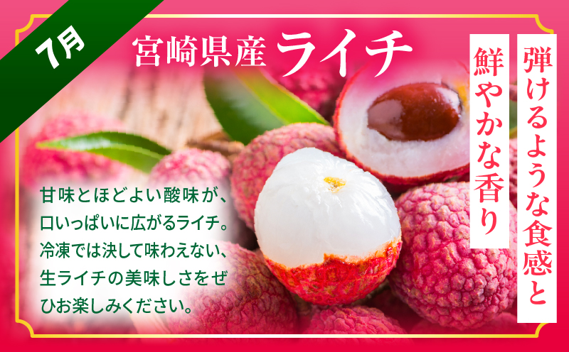 《2026年発送先行予約》【数量・期間限定】【全3回】太陽のタマゴ・ライチ定期便 マンゴー 宮崎マンゴー ライチ 定期便 果物定期便 果物 フルーツ定期便 フルーツ デザート