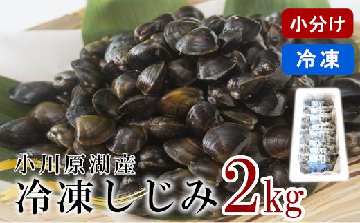 
《レビューキャンペーン》砂抜き済みで手間いらず！冷凍・小川原湖産大和しじみ2kg（250g×8袋）　【02408-0074】
