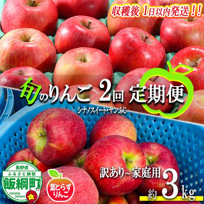 【ふるさと納税】 採れたてりんご 【 定期便 】 旬の2品種 3kg × 2回 訳あり 〜 家庭用 フレッシュフルーツ ミカヅキ 沖縄県への配送不可 〔 果物 フルーツ 林檎 長野 予約 農家直送 3キロ 定期便 〕【令和7年度収穫分】 発送：2025年10月中旬〜