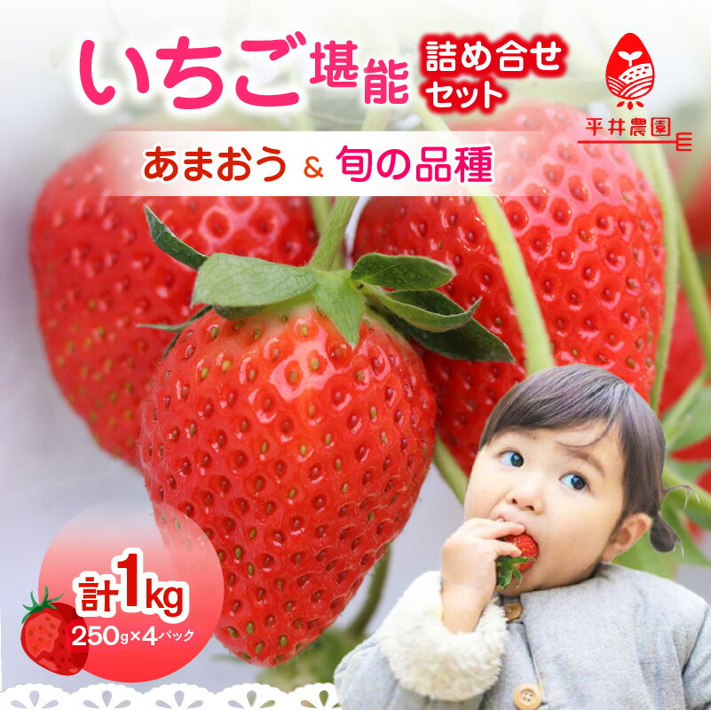 【ふるさと納税】いちご堪能詰め合わせセット 250g×4パック（合計1kg）｜2026年2月～順次発送＜ひらい観光農園＞ あまおう いちご 苺 イチゴ フルーツ 果物 くだもの 人気 旬 福岡県産 食べ比べ 採れたて セット 冷蔵配送 数量限定 期間限定 産地直送 福岡県 八女市