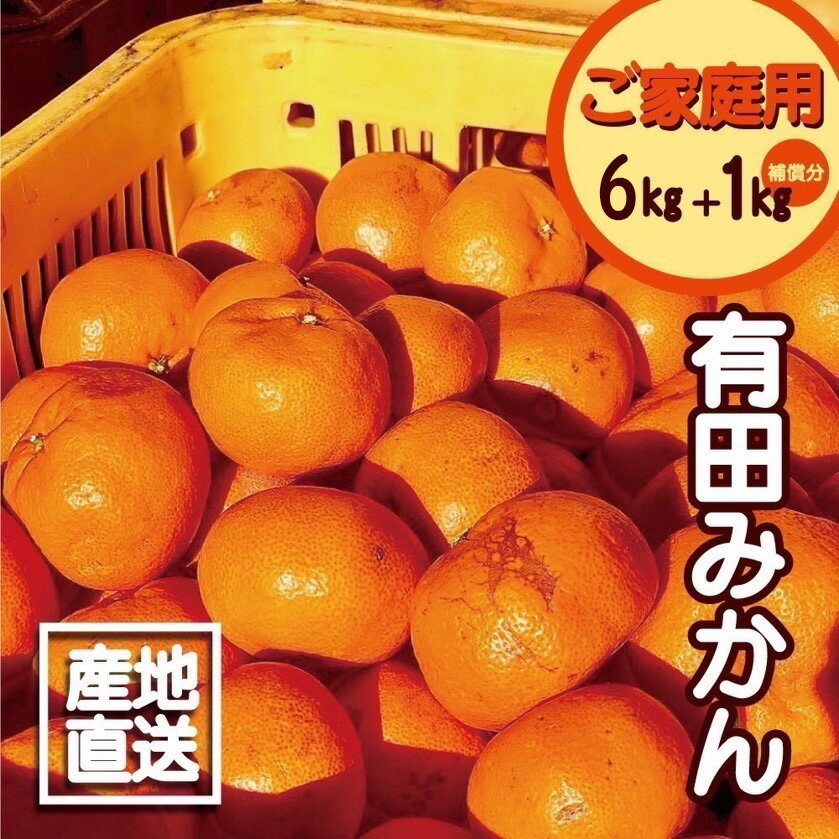【ふるさと納税】【限定】【2025年先行予約】 【11月より順次発送】有田みかん 6kg + 1kg補償分 訳あり サイズ混合 ご家庭用 有田 みかん 温州みかん フルーツ 果物 果実 柑橘 甘い ジューシー 国産 食品 食べ物 産地直送 お取り寄せ 和歌山県 湯浅町 福田農園 送料無料