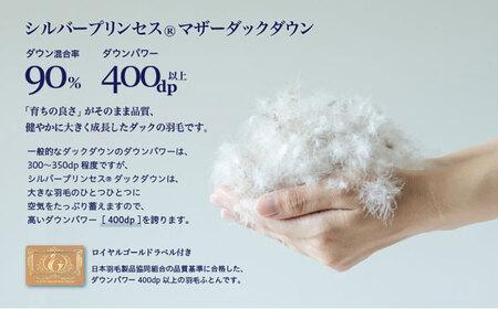 【訳あり】 色柄おまかせ ダブル 羽毛合掛けふとん シルバープリンセスダック ダウン90% ダウンパワー400dp 《壱岐市》 【富士新幸九州】[JDH120]