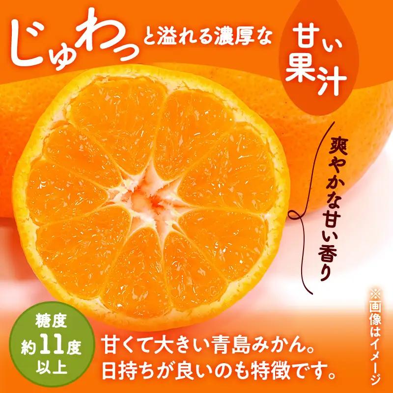 みかん 三ヶ日 糖度11度 青島 3kg L/2L 果物 みかん