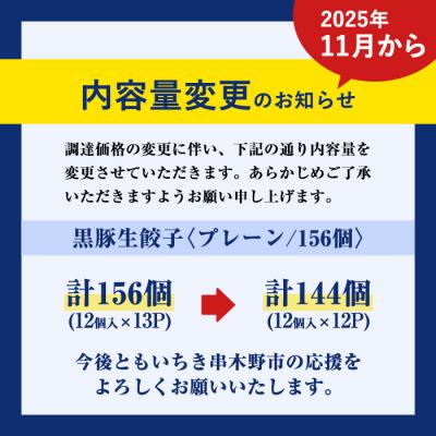 ふるさと納税 いちき串木野市 【家計応援】鹿児島黒豚生餃子 合計156個(12個×13P)タレ付き!国産野菜使用【60日以内配送】 |  | 02