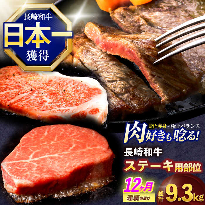 【ふるさと納税】【12回定期便】長崎和牛 ステーキ用部位×12回定期便【株式会社 黒牛】[OCE108] / 牛肉 国産 大判 大きい 記念日 贈答 お祝い A4ランク 食べ比べ 贅沢 ヒレステーキ フィレ ヘレ サーロイン リブロースステーキ すてーき