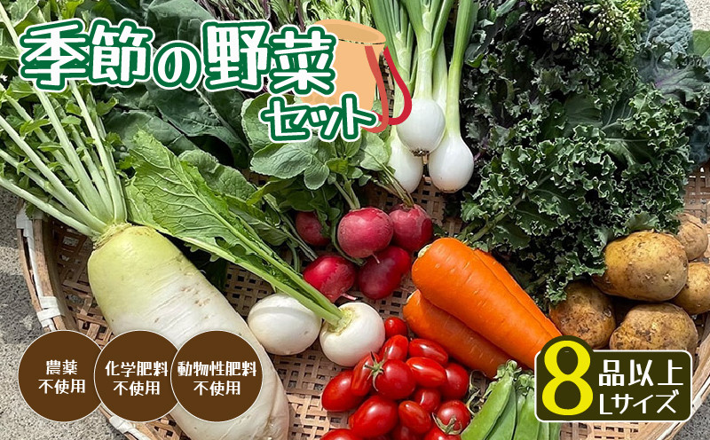 
            【発送時期限定】 京都府綾部市の季節の野菜セットL（4～6名様分）農薬不使用 新鮮 野菜 セット 詰め合わせ 京都 綾部 農家直送
          