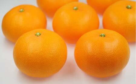 せとか 4L～Lサイズ みかん 蜜柑 柑橘 果物 くだもの フルーツ 【2026年2月下旬～2026年3月下旬発送予定】(521-1)