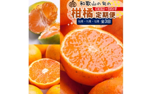 家庭用 柑橘定期便M（10～12月）全3回 ［IKE313］