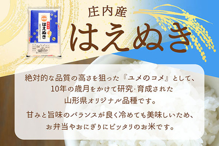 【6か月定期便】庄内米 はえぬき 無洗米 10kg 毎月 5kg×2袋 令和7年産 / 令和8年産 余目産 あまるめ ブランド米 米 山形 庄内平野 亀の尾発祥の地 庄内 お米の定期便【8月中旬発送/