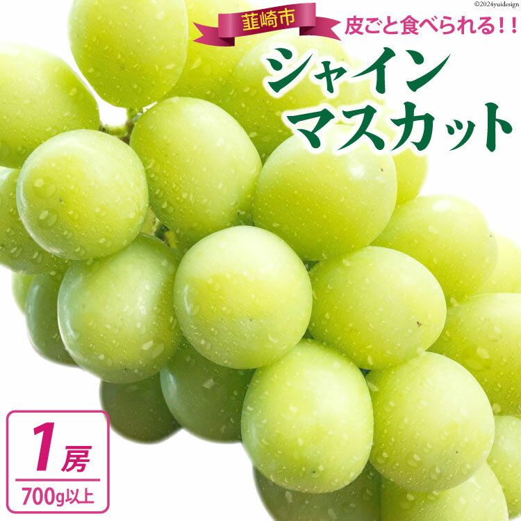 【ふるさと納税】【期間限定発送】【当日収穫！当日出荷！】 シャインマスカット 1房 700g 以上 [モリモリファーム 山梨県 韮崎市 20743904] シャイン マスカット ぶどう ブドウ 葡萄 山梨 フルーツ 果物 くだもの