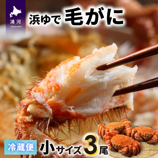 【今が旬！】漁協の浜ゆで毛がに 小サイズ３尾セット※日付指定対応不可※[02-1201]