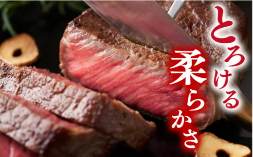 モモステーキ【A4～A5】長崎和牛モモステーキ　約1kg（100g×10p）＜株式会社MEAT PLUS＞ [CFT012]