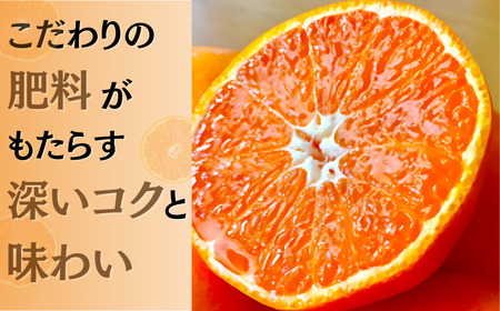 みかん ミカン 柑橘 和歌山県 有機 手選別 / あま～い！ カツオの有機肥料が味の決め手！ 「きみの完熟ミカン」 約2kg(15~25個程度) サイズ混合 2S~M ご家庭用(秀優混合)【kmf01