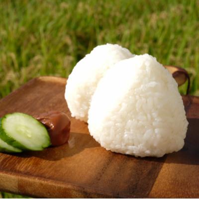 ふるさと納税 大和高田市 【令和7年産】奈良県産 ヒノヒカリ 精米 10kg (5kg×2) |  | 01