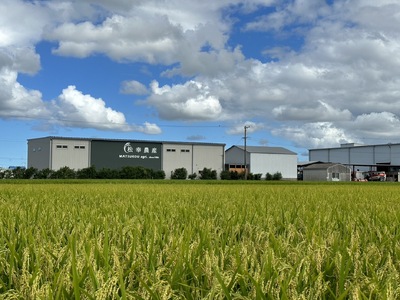 1450 特選自然米　コシヒカリ　5㎏