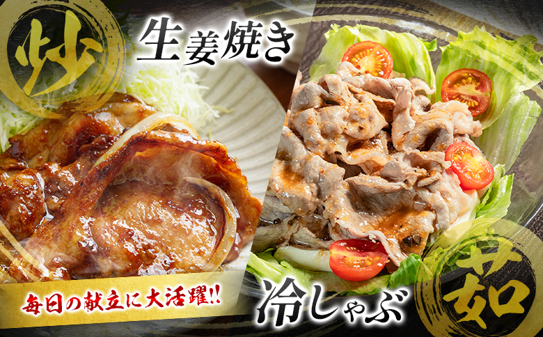 数量限定 ＜満喫Bセット＞ 豚肉 合計4.5kg 国産 ロース 肩ロース スライス モモ ウデ ミンチ ハンバーグ しゃぶしゃぶ 詰め合わせ 大容量 冷凍 小分け 便利 おすすめ 送料無料