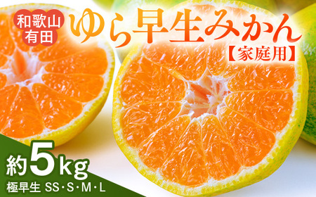 【ご家庭用 極早生】和歌山有田ゆら早生みかん 約5kg(SS、S、M、Lサイズ)【美浜町】｜早生みかん フルーツ 果物 みかん ※北海道・沖縄・離島への配送不可 ※2025年10月下旬～11月下旬頃に順次発送予定