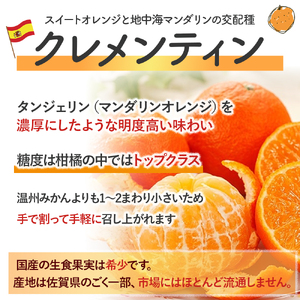 スペイン生まれのたら育ちクレメンティン 6kg クレメンティン みかん 柑橘 国産 オレンジ マンダリン 希少 ジューシー ギフト 贈り物 佐賀県 太良町 ND2x1【2026年12月上旬～2027年
