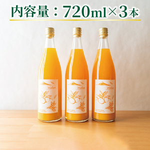果汁100％ みかんジュース 720ml×3本 西浦
