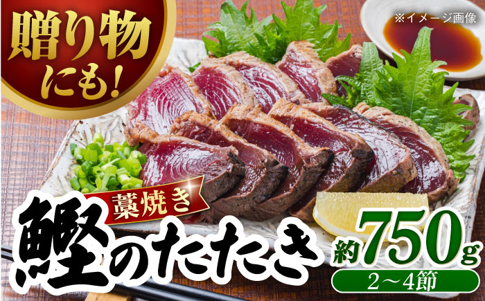 冷凍していない生鰹 高知県産 土佐久礼 藁焼き生鰹たたき 約750g 魚介類 魚 お魚 刺身 初鰹 戻り鰹 【池澤鮮魚オンラインショップ】 [ATBE001]