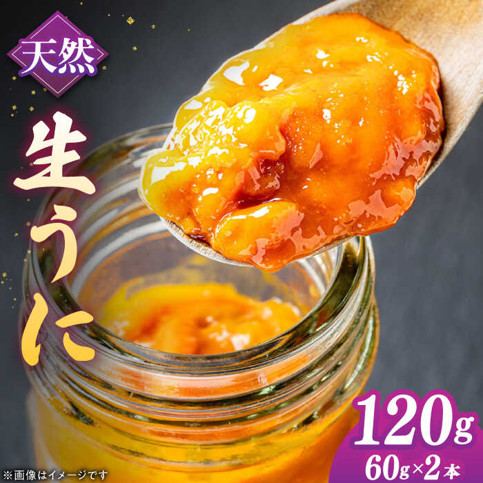 【ふるさと納税】【先行予約】 壱岐産 生うに 60g×2本 【2026年5月以降順次発送】《壱岐市》【馬渡水産】 生ウニ うに ウニ 雲丹 紫うに ムラサキウニ 海鮮 希少 冷蔵配送[JAQ010]