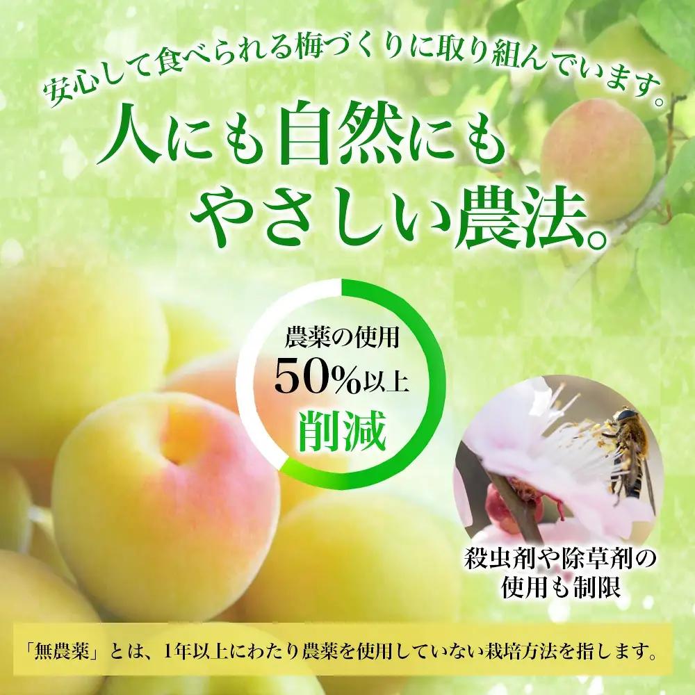 訳あり 無添加 梅干し 紀州梅香の減塩3%つぶれ梅 約1kg(500g x 2) 中~大粒 はねだし梅 紀州南高梅 産直) 3-G［KU3］baiko005【baiko005】