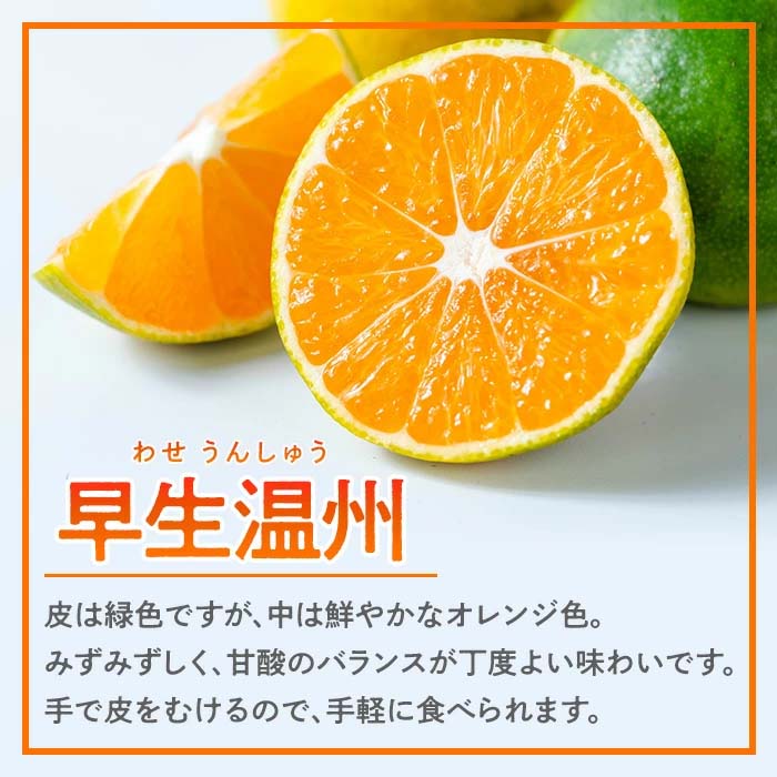 i985 《先行予約受付中！2025年10月上旬から発送予定》早生温州 (5kg) 数量限定 みかん 柑橘 果物 くだもの フルーツ 旬 温州みかん ミカン オレンジ 早生 【アーステクノ】