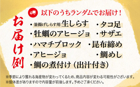 【何が届くかお楽しみ】旬の海の幸 福袋 寄附額2万円相当 魚介類 海産物 海鮮 刺身 広島 江田島市/七宝丸[XBY005]刺し身海鮮魚介類セット刺身