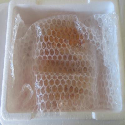 ふるさと納税 根室市 エゾバフンウニ塩水パック80〜90g×2P F-59009 |  | 01