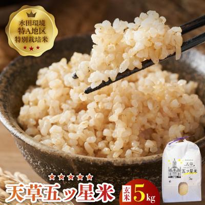 ふるさと納税 天草市 【先行受付】令和8年産 天草五ッ星米 玄米 5kg_S061-010A