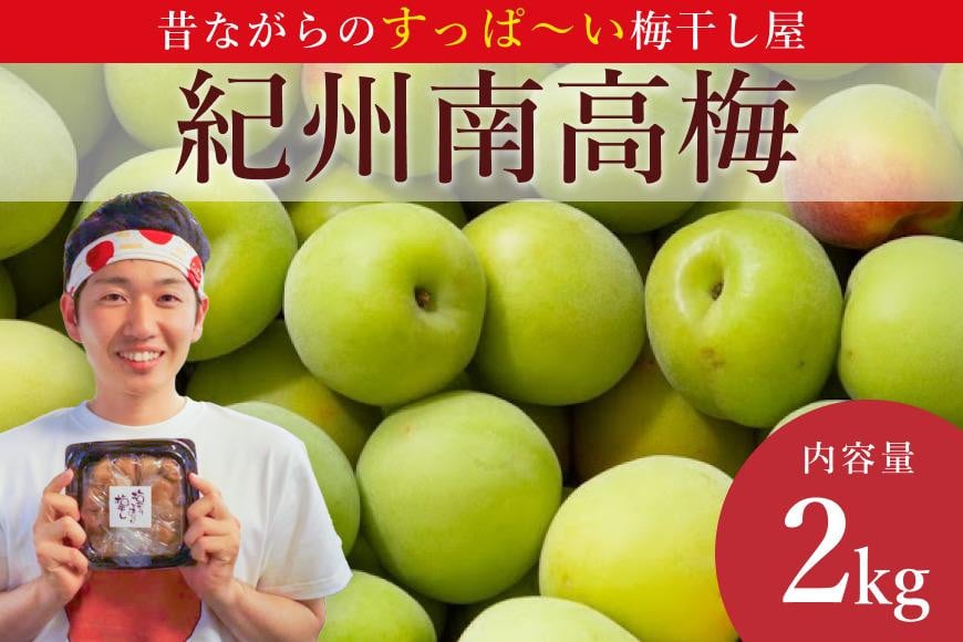 
            ［先行予約］樹上南高梅の青梅 約2kg 梅ボーイズ 紀州南高梅 5月中旬～6月中旬頃に順次発送予定 A-007b
          