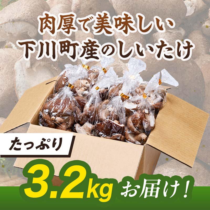 【2026年2月発送】 生しいたけ【形が悪いなどの訳あり品】3.2kg（200g×16袋） F4G-0268