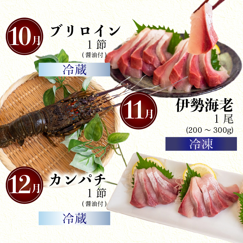 12ヶ月 定期便 旬 魚 刺身定期便 鮮魚