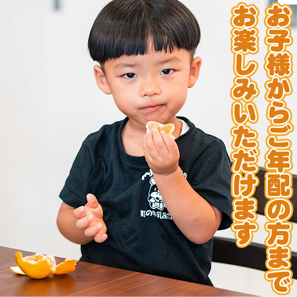 ZE6333n_【2025年先行予約】和歌山有田みかん10kg　2L～4Lサイズ混合 