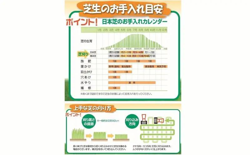 大進 手動式芝刈機20cm 手動 シバ刈り 4939736701676