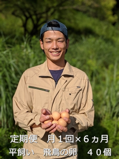 
定期便 ６ヶ月 美味しい 平飼い 飛鳥の卵 ４０個 冷蔵 月１回 ／ 古都 風雅 ファーム ふるさと納税 たまご 玉子 鶏 卵 取り寄せ 新鮮 生食 安心 安全 健康卵 飛鳥 チルド 奈良県 宇陀市
