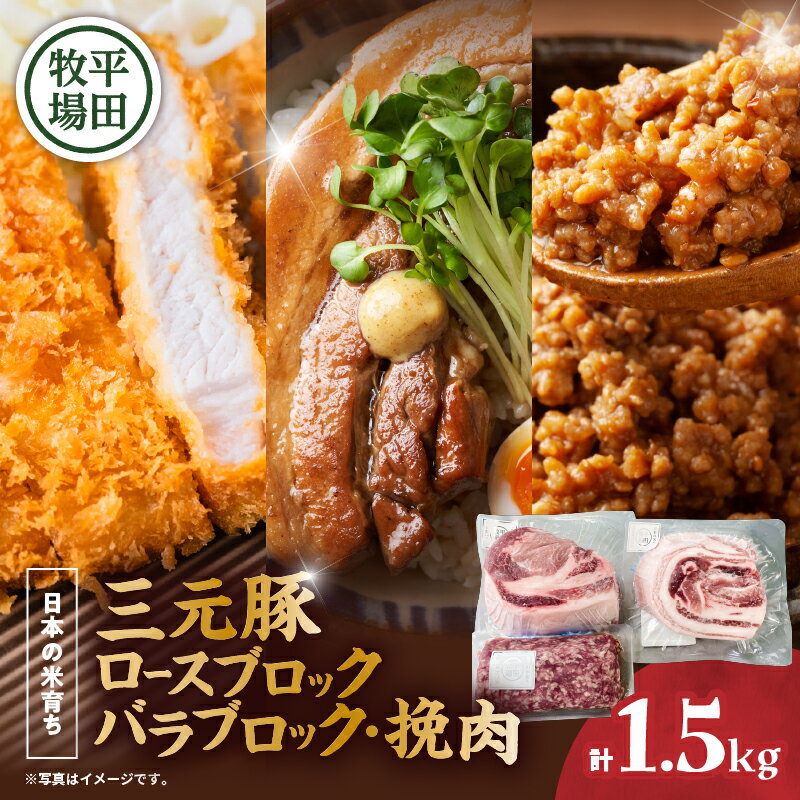 【ふるさと納税】日本の米育ち平田牧場　三元豚ロースブロック（600g）・バラブロック（600g）・挽肉（300g）計1.5kg | 肉 お肉 にく 食品 苫小牧市産 人気 おすすめ 送料無料 ギフト