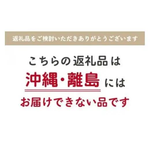 【最短2～7営業日出荷】【令和7年産】千葉県産　ふさこがね10kg (精米5kg×2袋) E028
