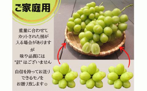 訳あり シャインマスカット １kg ご家庭用 山梨県産【味や品質には問題なし】